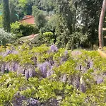 Albero Mago Πανσιόν