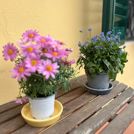 Albero Mago Penzion 4*