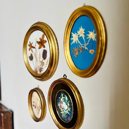 Albero Mago 4* Florencie