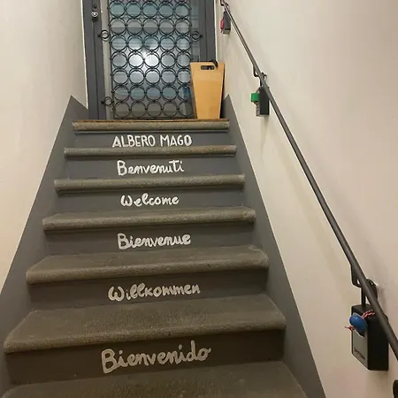 Albero Mago 4*
