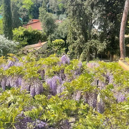 Albero Mago Gasthuis